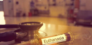Syringe labeled 'Euthanasia' next to a stethoscope on a medical table