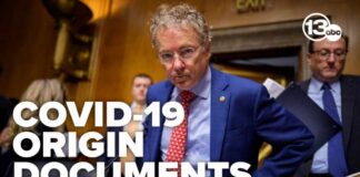 Sen. Rand Paul alleges Dr. Fauci used intelligence channels to counter COVID lab leak theory