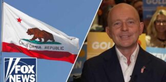 Cannot let this opportunity slip away: Steve Hilton