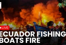Massive Fire Engulfs Fishing Port In Ecuador LIVE : Dozens of Fishing Boats Destroyed | NXW
