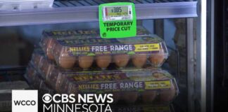 2 million eggs will be delivered to Minnesota as part of settlement