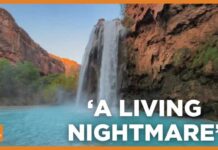 New York woman’s throat cut in attack during Havasupai Falls hiking trip