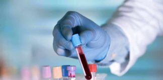 Gloved hand holding a blood sample tube